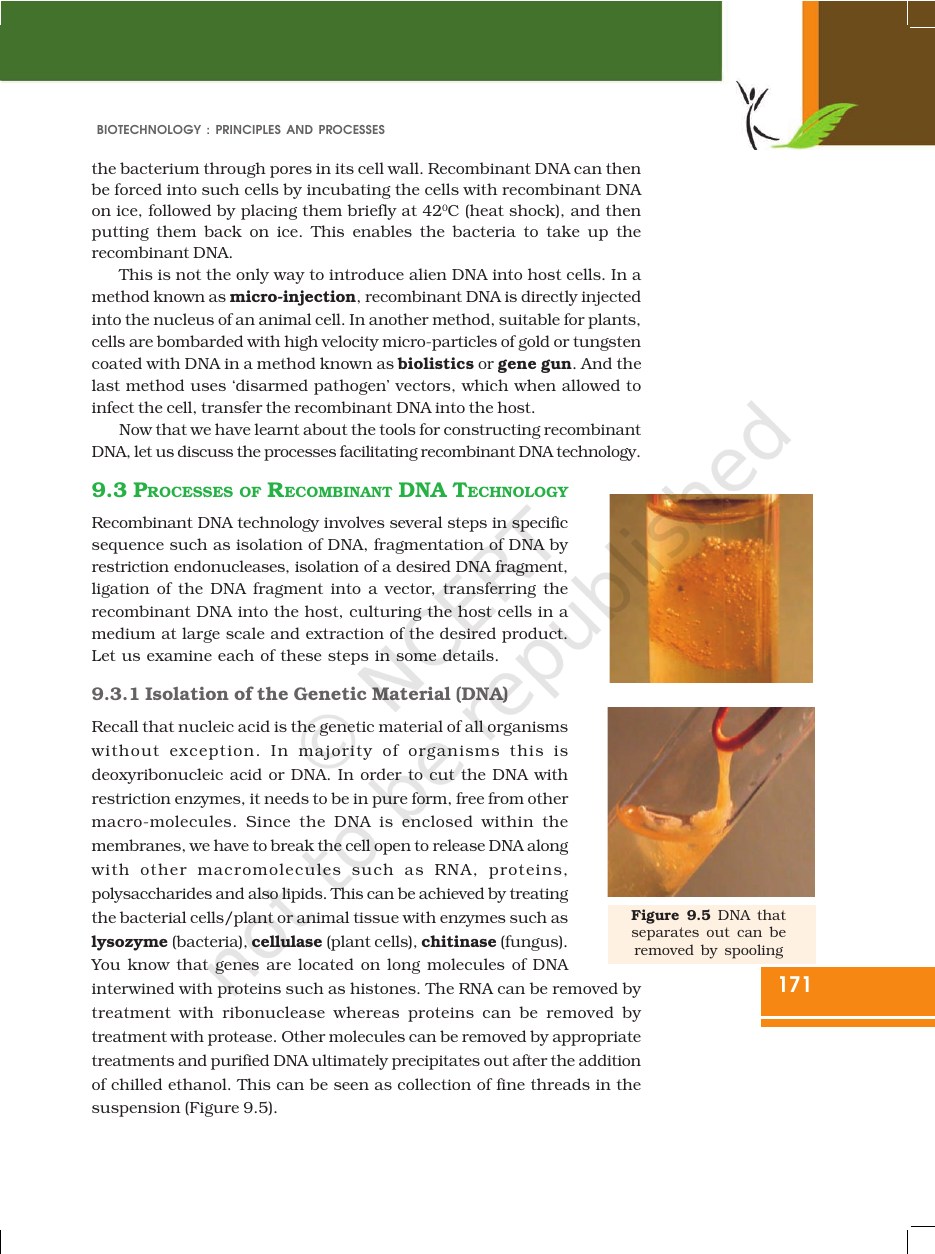 Page 11 of Biotechnology: Principles and Processes