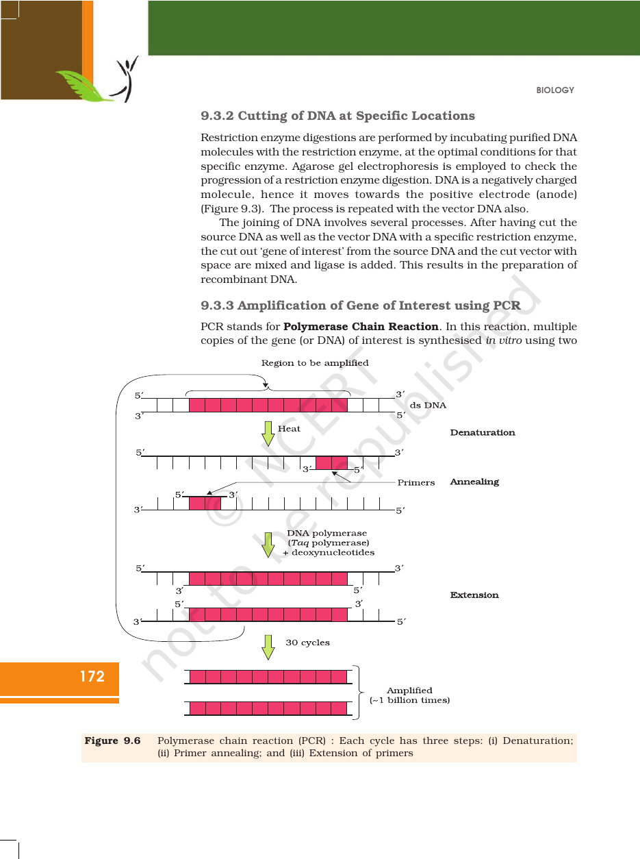 Page 12 of Biotechnology: Principles and Processes