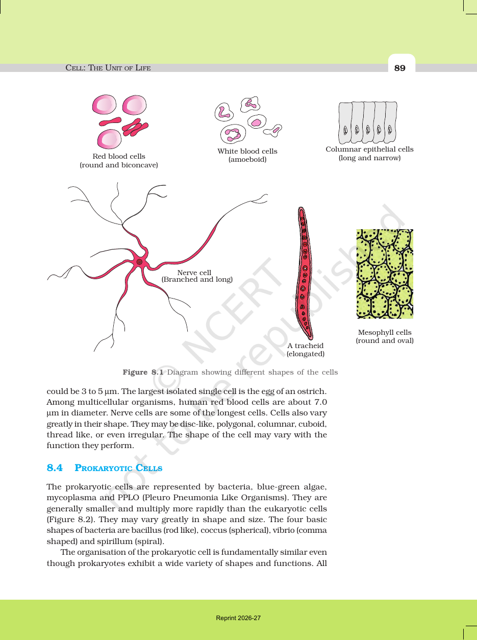 Page 5 of Cell: The Unit of Life
