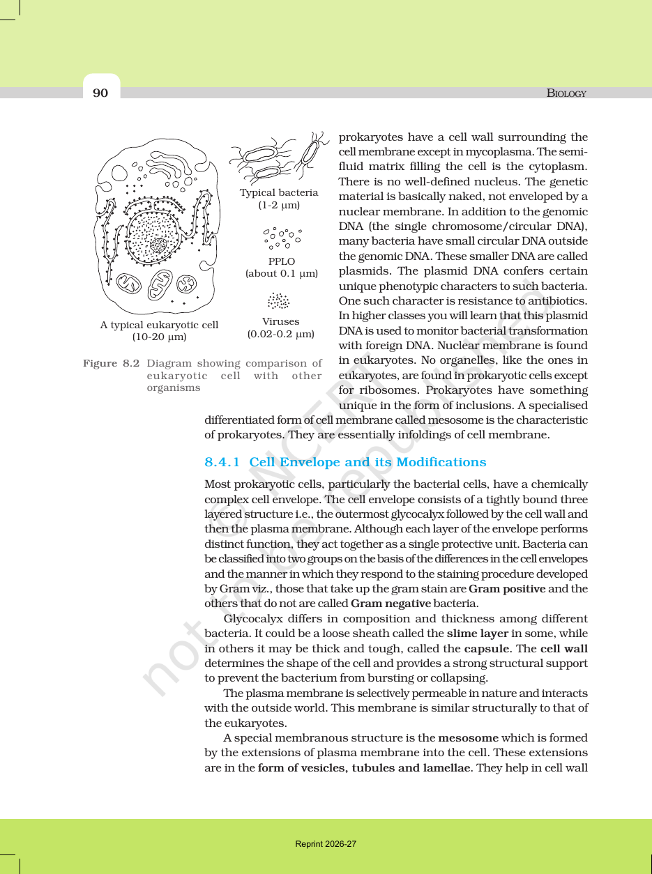 Page 6 of Cell: The Unit of Life