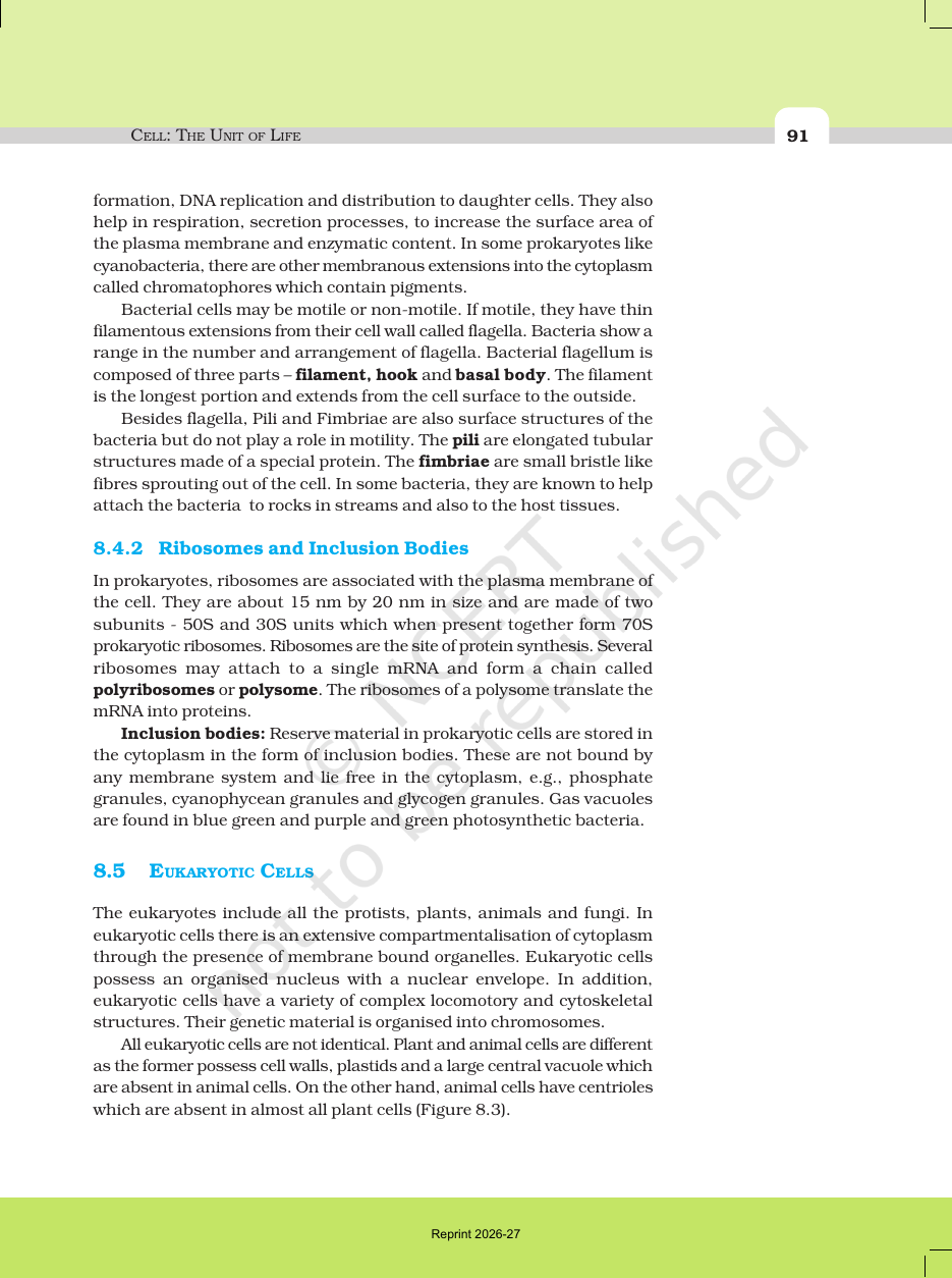 Page 7 of Cell: The Unit of Life
