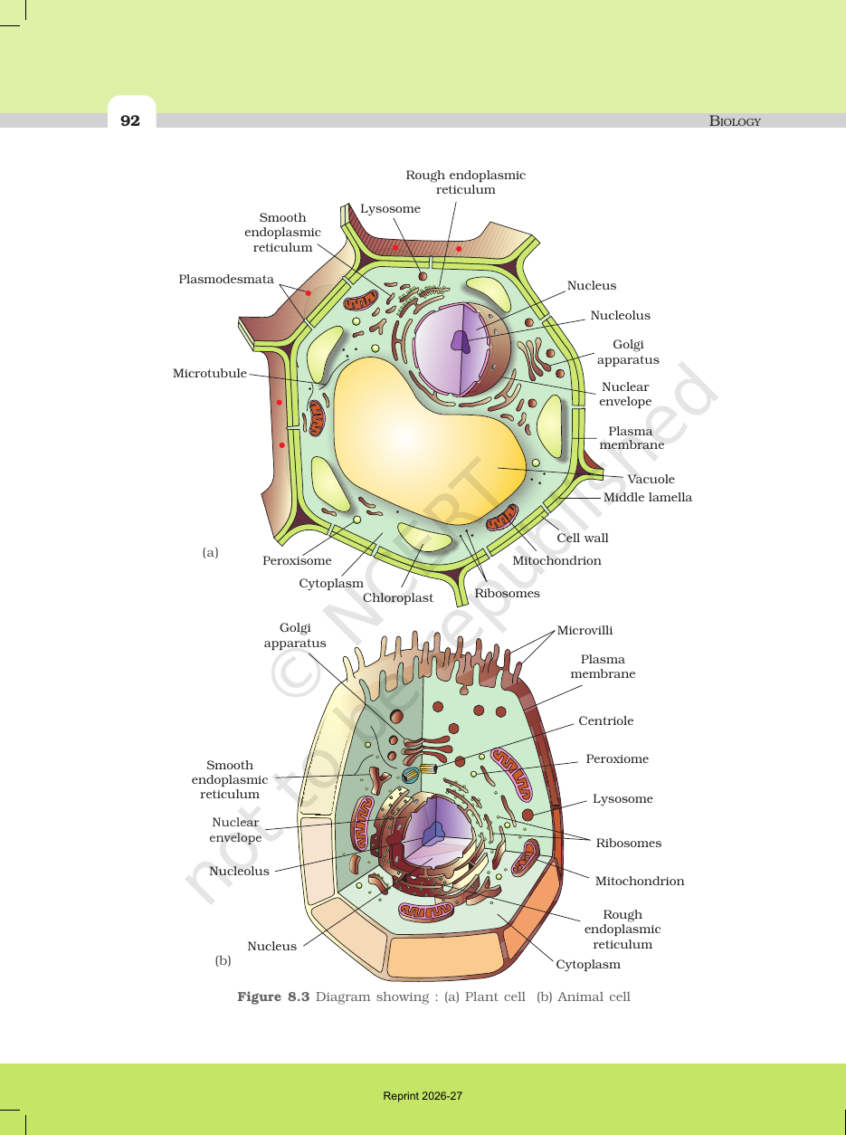 Page 8 of Cell: The Unit of Life