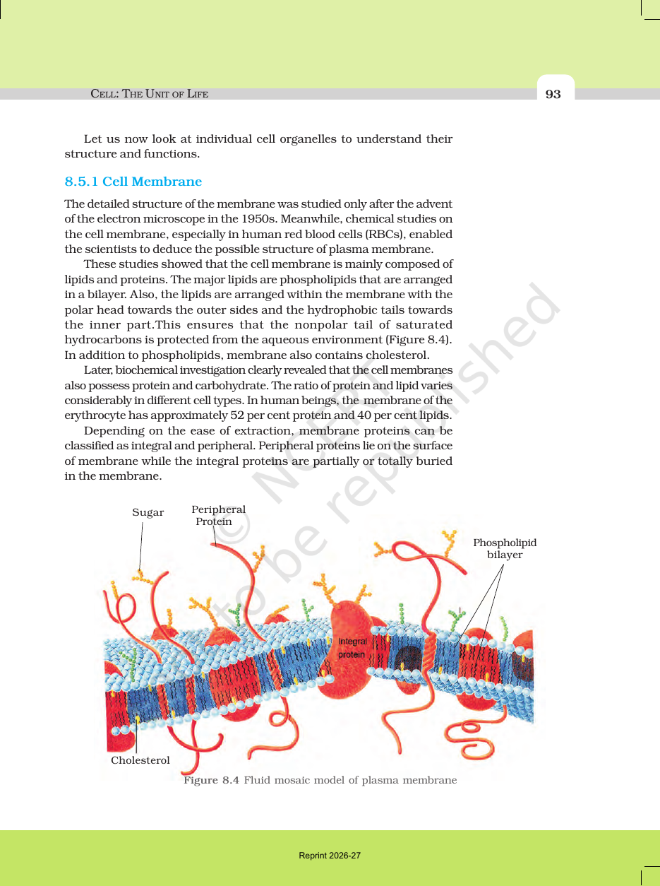 Page 9 of Cell: The Unit of Life
