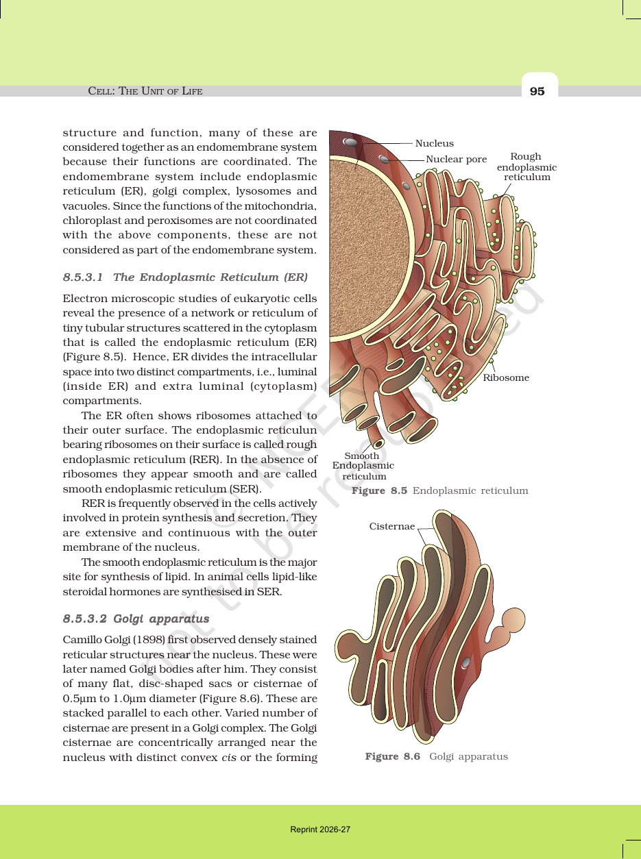 Page 11 of Cell: The Unit of Life