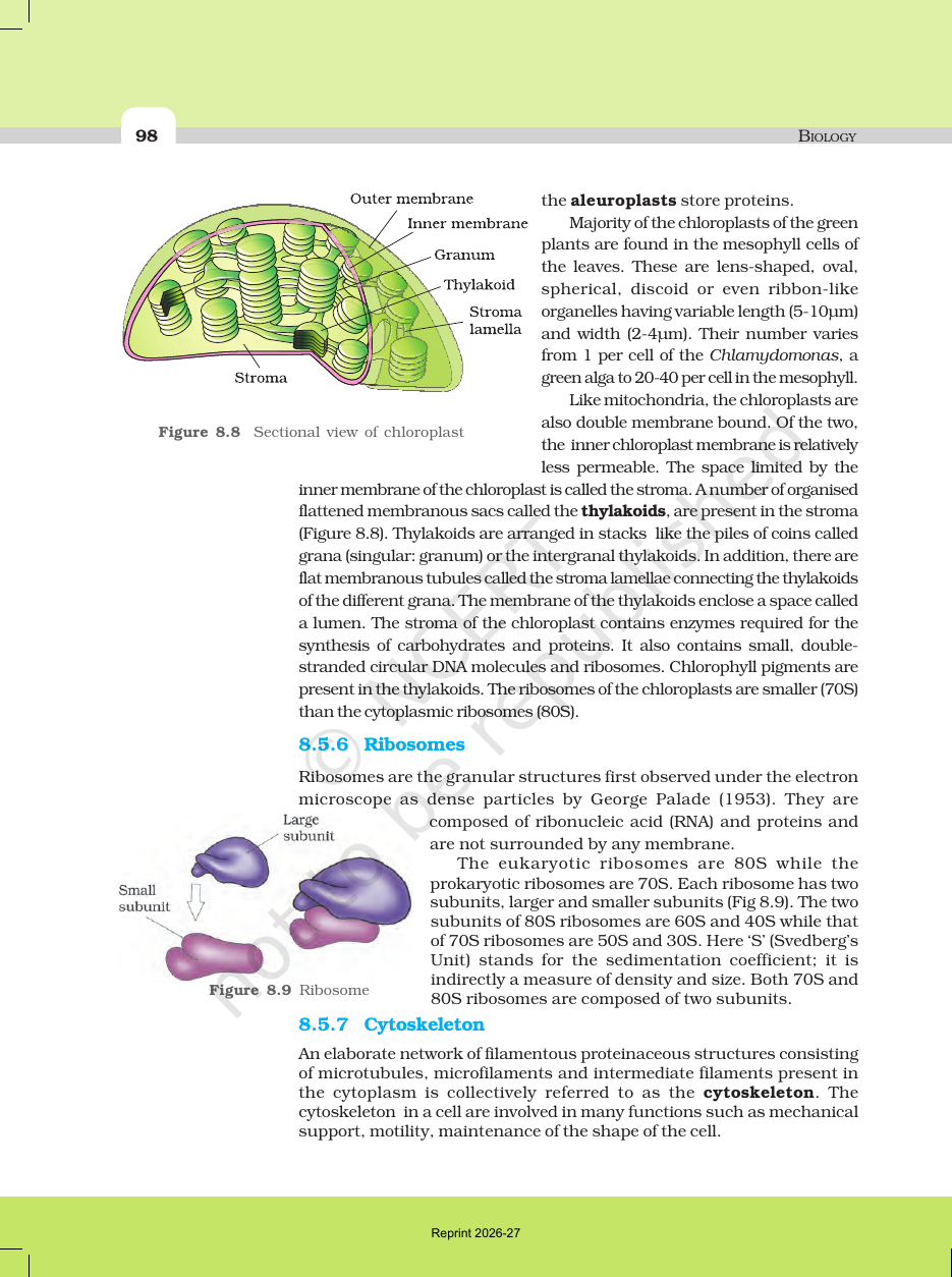 Page 14 of Cell: The Unit of Life