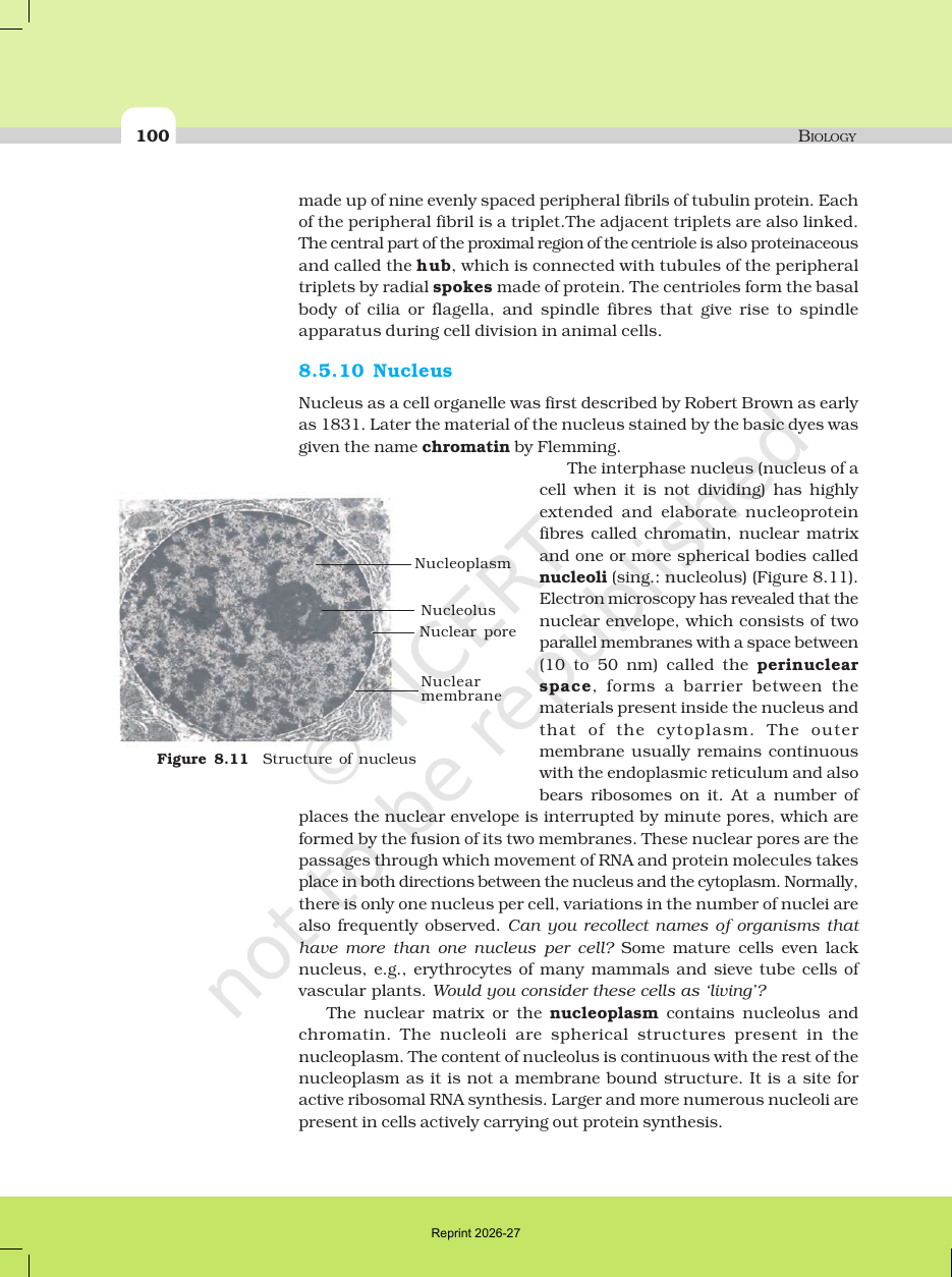 Page 16 of Cell: The Unit of Life