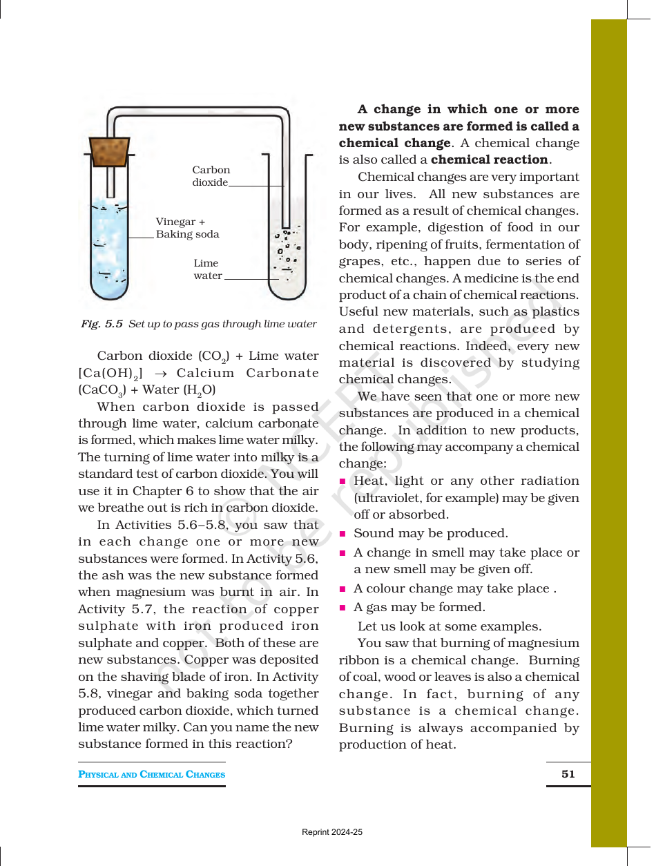 Page 5 of Physical and Chemical Changes