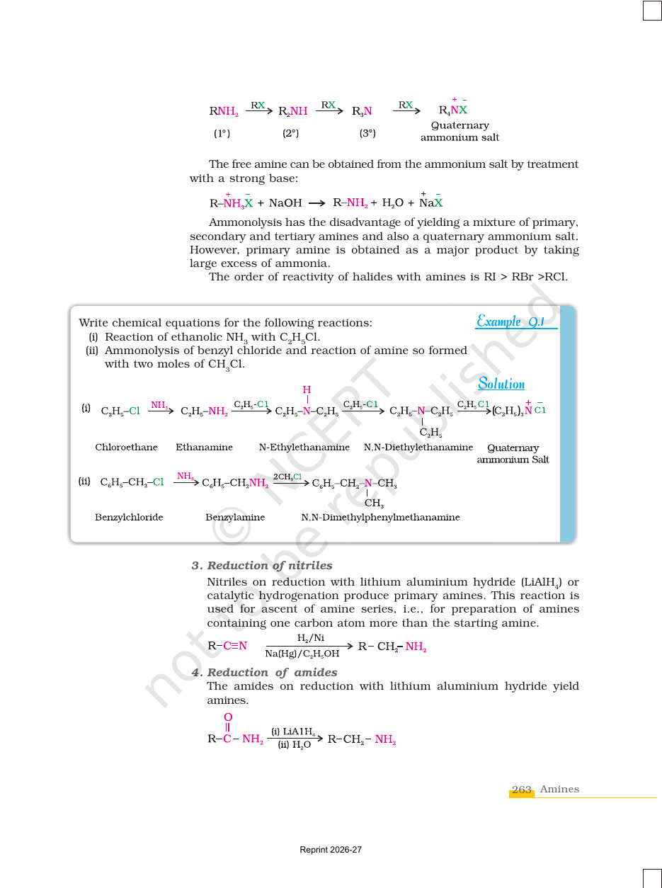 Page 5 of Amines