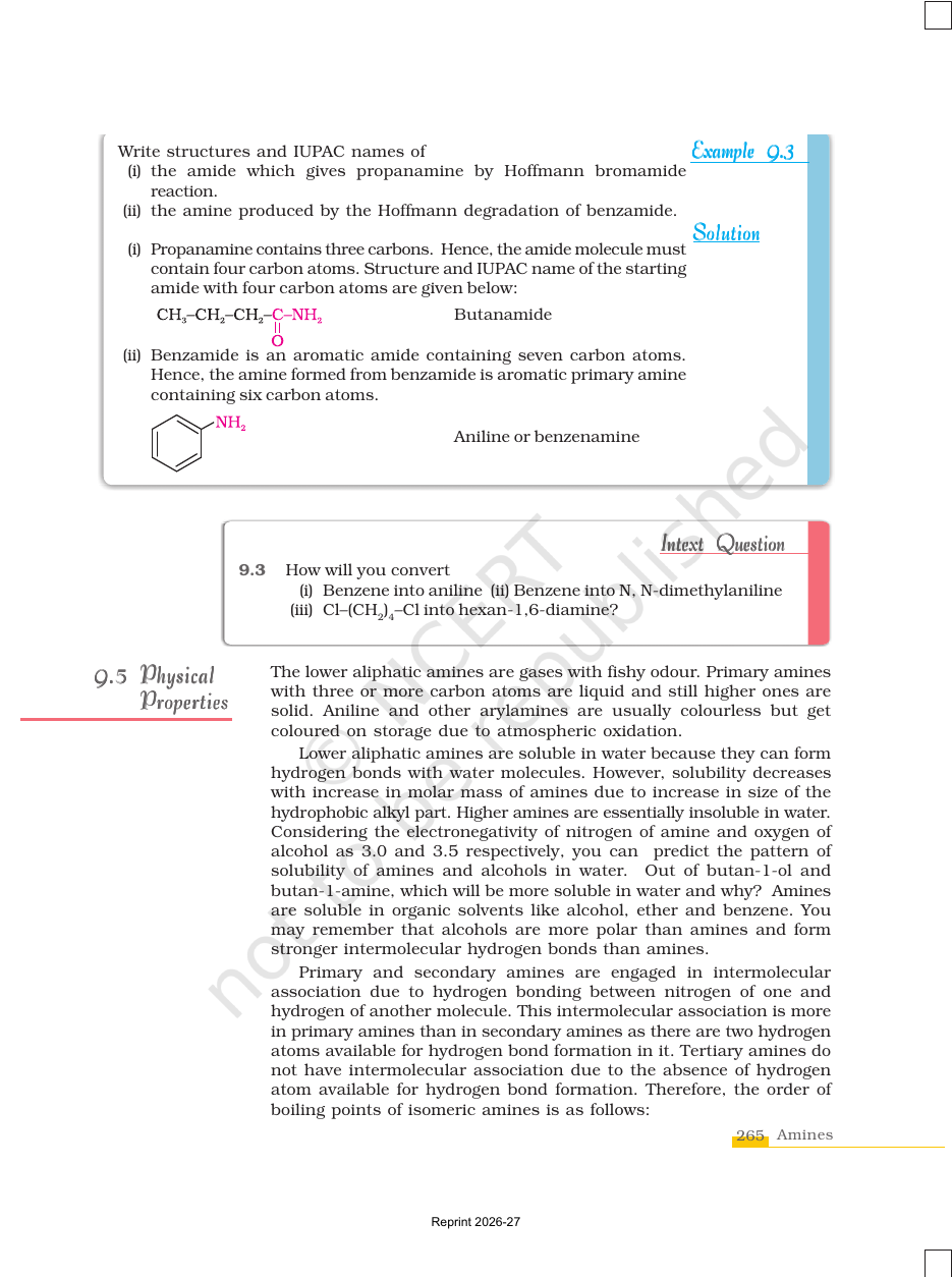Page 7 of Amines