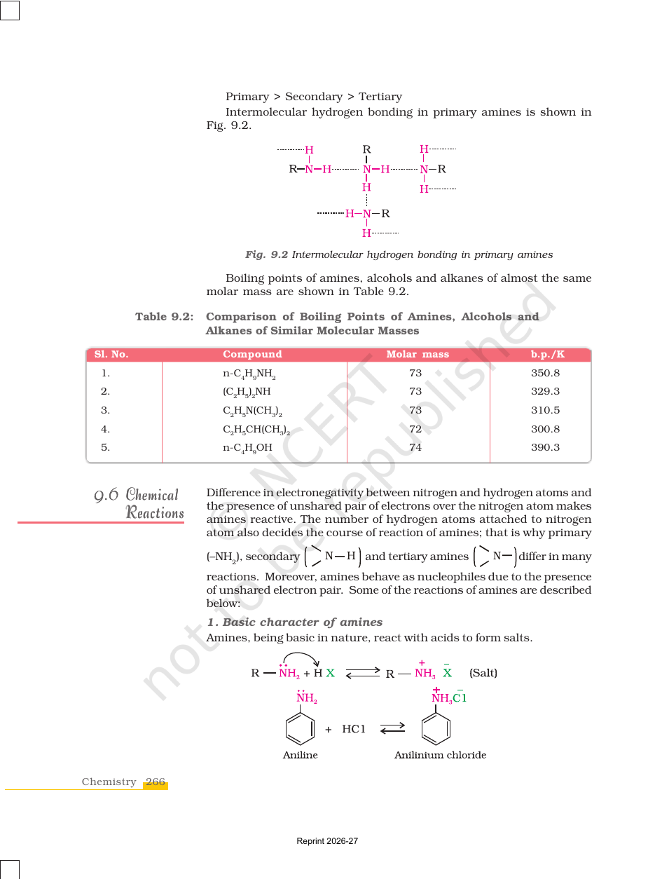 Page 8 of Amines