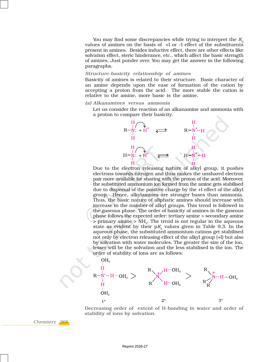 Page 10 of Amines