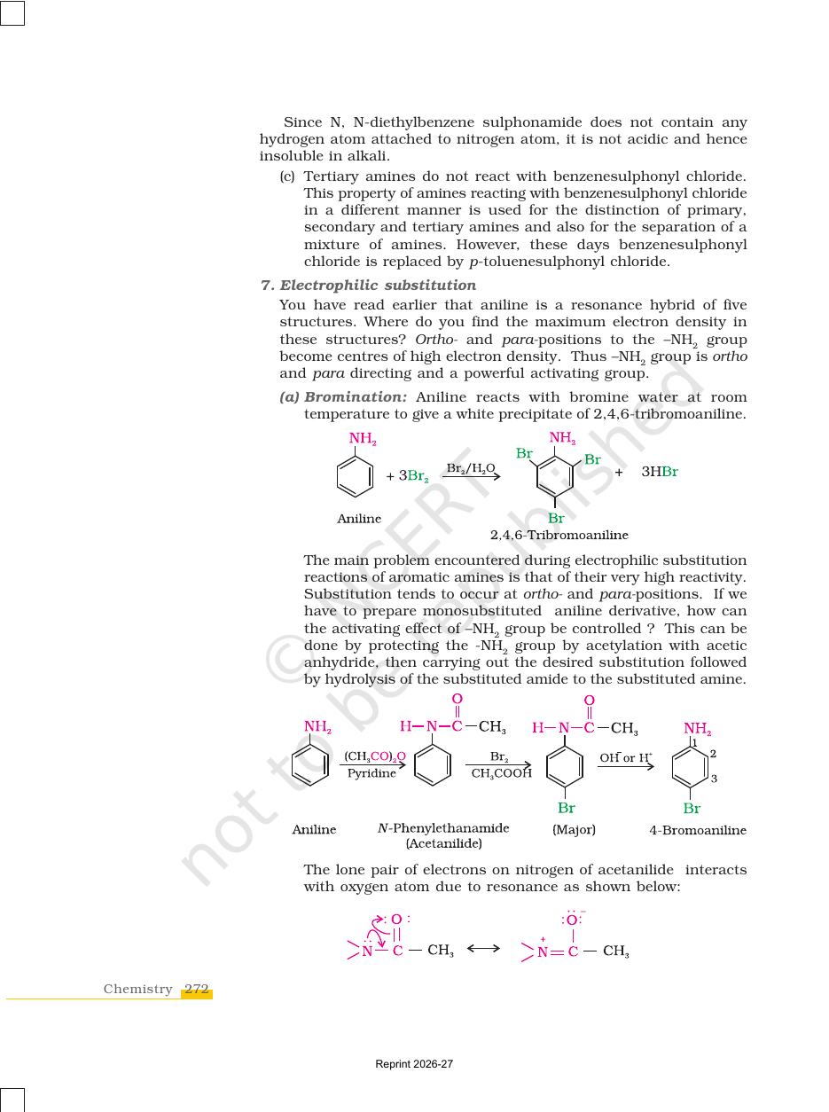 Page 14 of Amines