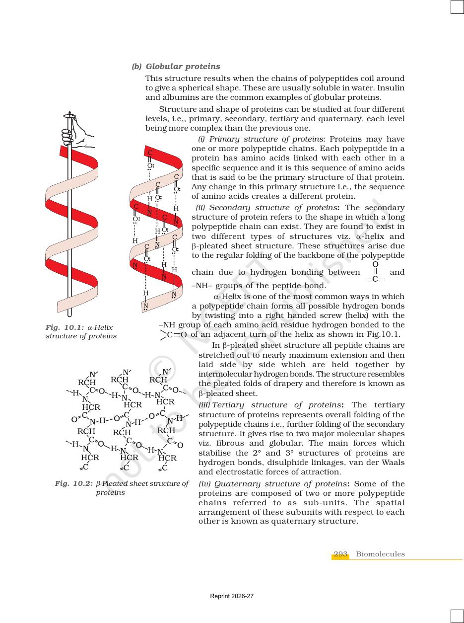 Page 13 of Biomolecules