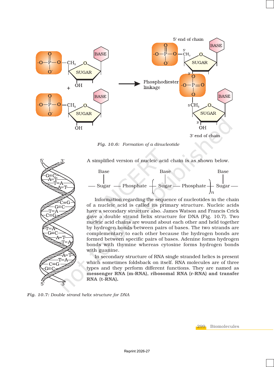Page 19 of Biomolecules