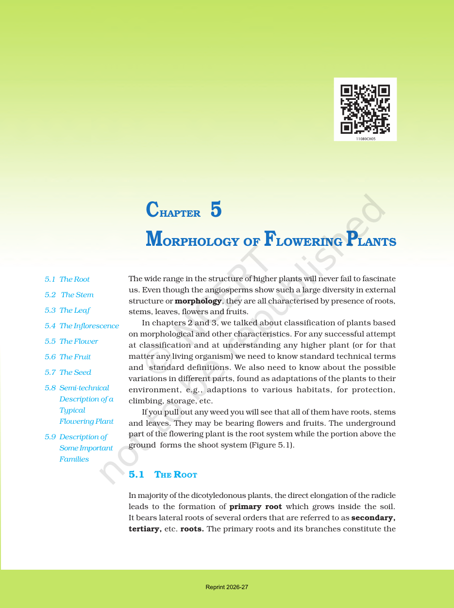Page 3 of Morphology of Flowering Plants