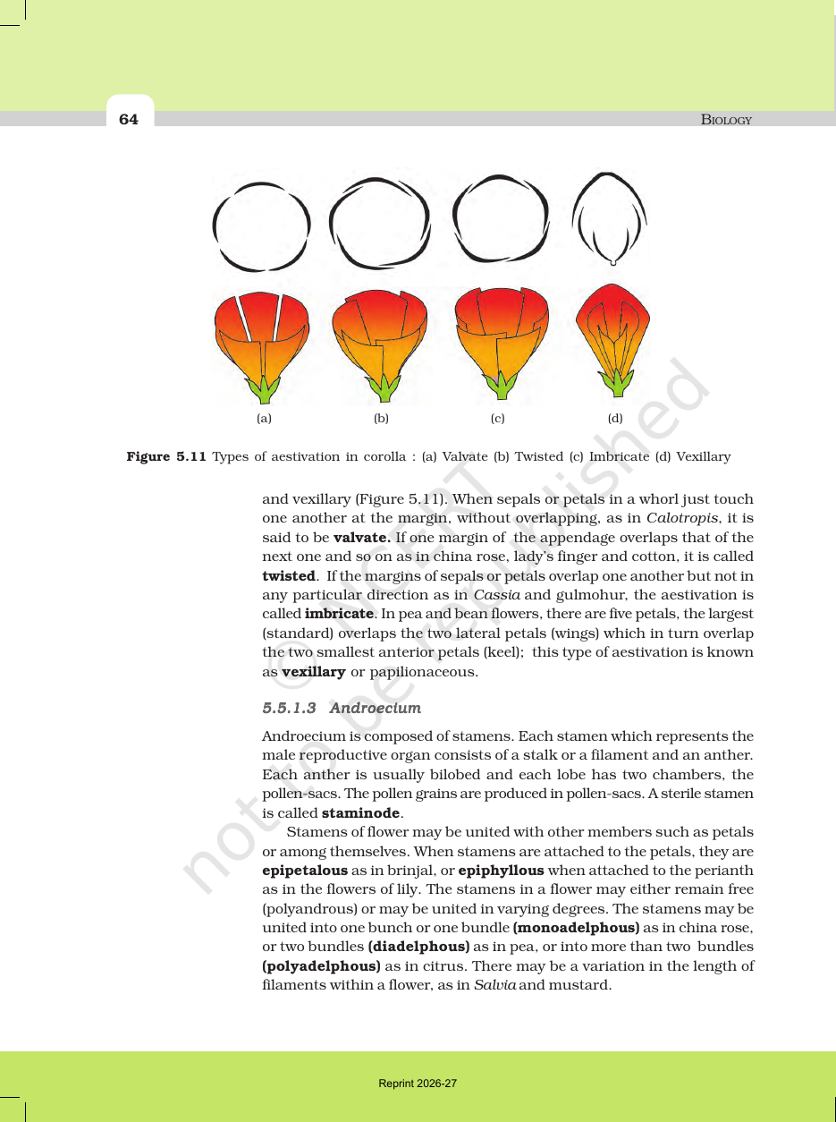 Page 10 of Morphology of Flowering Plants