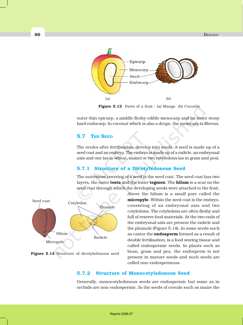 Page 12 of Morphology of Flowering Plants