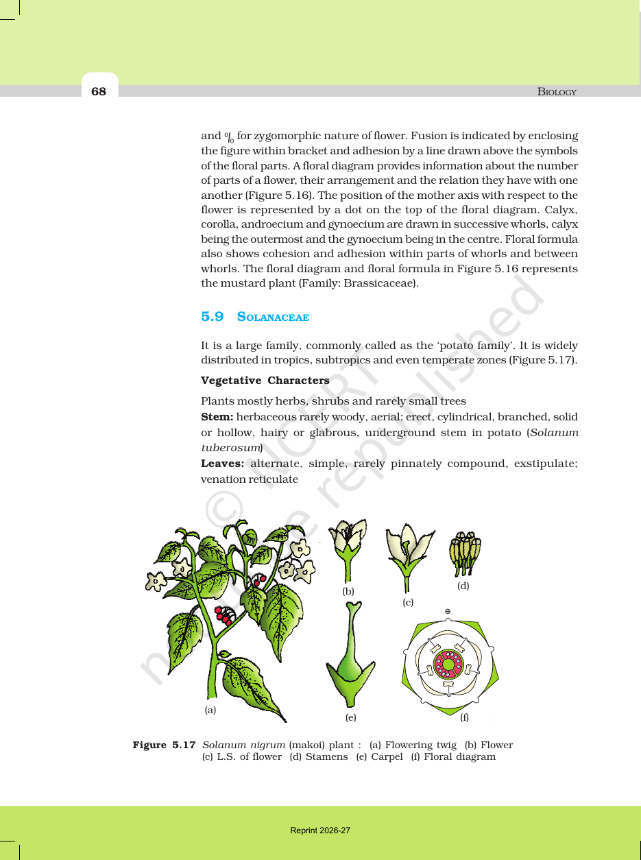 Page 14 of Morphology of Flowering Plants