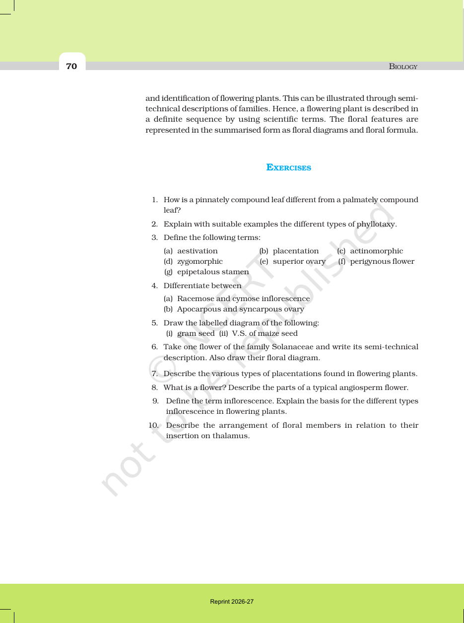Page 16 of Morphology of Flowering Plants